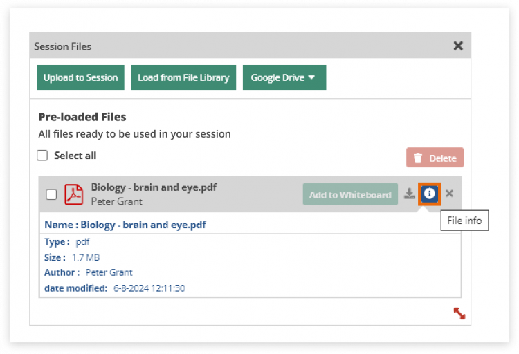 Virtual Classroom File Library: Check the file info to see the information associated with the file itself